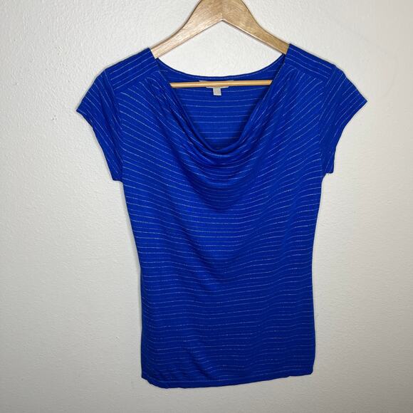 Banana Republic Blue and Siliver Stripe Short Sleeve Blouse Small - Picture 1 of 9